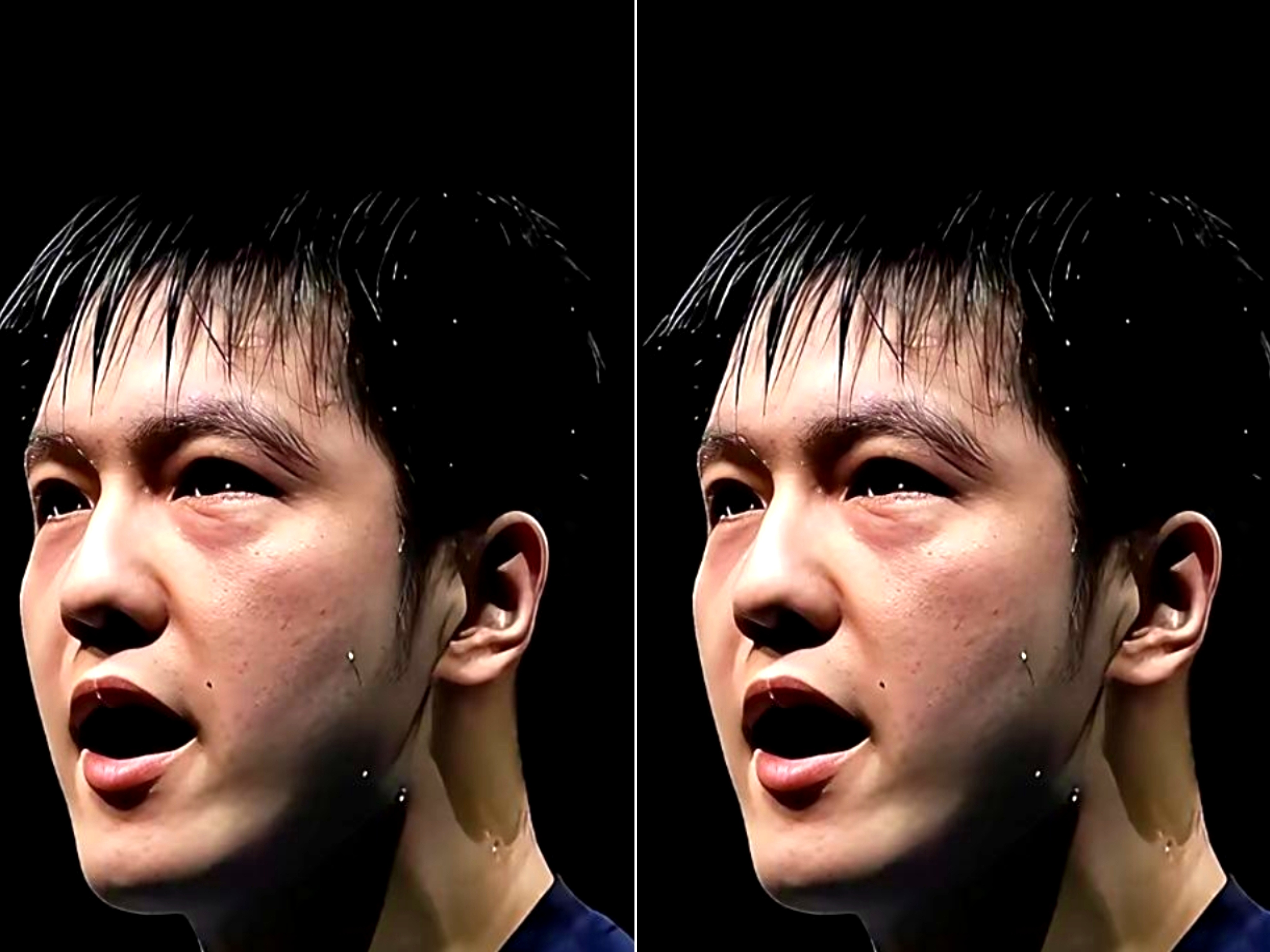 德国队横扫英格兰队，樊振东惊艳四座